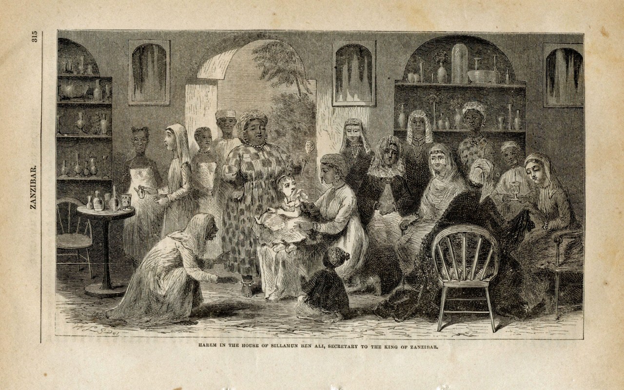 American Sketch. Harem in the house of the Sultan's Secretary.